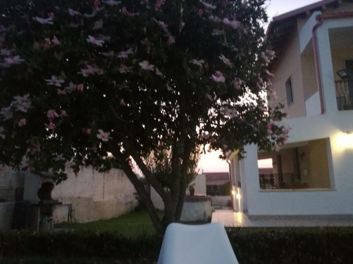 La Casa Delle Farfalle